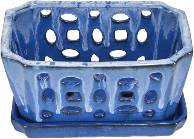 W&W Orchid Pot with Holes and Saucer for Repotting, White and Blue, 9.7 Inches
