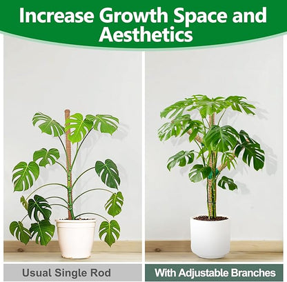 Moss Pole 30 Inch, 2 Pack Monstera Plant Support, Bendable Plant Stakes for Indoor Plants, Plant Sticks Support Tall，Coco Coir Plant Poles for Climbing Plants, Pothos, Philodendron