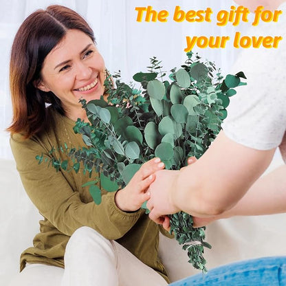 12 Pcs Large Dried Eucalyptus & Silver Dollar Leaves Bundle - Natural Real Fresh Plants, 17" Preserved Eucalyptus Stems for Shower Hanging, Bathroom Decor, Garland, Greenery Plant