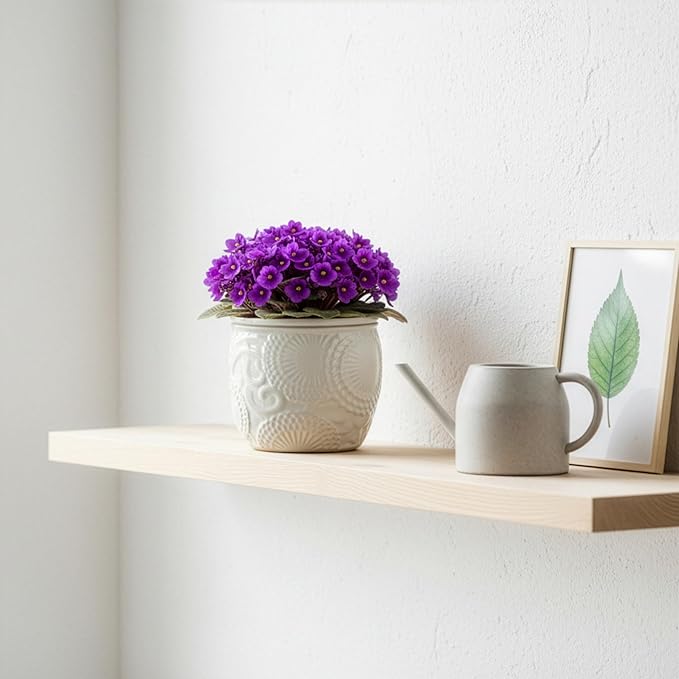 6.5” Ceramic Self Watering African Violet Planter with Embossed Floral Design – Durable Indoor Plant Pot for Orchids, Succulents, and Houseplants