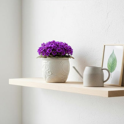 6.5” Ceramic Self Watering African Violet Planter with Embossed Floral Design – Durable Indoor Plant Pot for Orchids, Succulents, and Houseplants