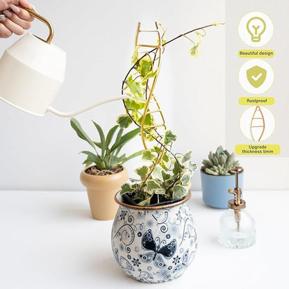 Plant Stakes for Indoor Plants,3 Pcs DNA Helix Metal Plant Trellis,Easy Installation and Durable Climbing Plant Holder,Potted Plant Holder Stakes for Garden,Yard,Balcony,Indoor & Outdoor Use