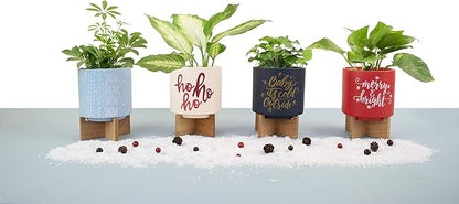 Ceramic Holiday Planter Pot, Merry & Bright Design, Red & White, Holds 4" House Plant or Succulent, Festive Winter Christmas Home Décor with Wood Stand
