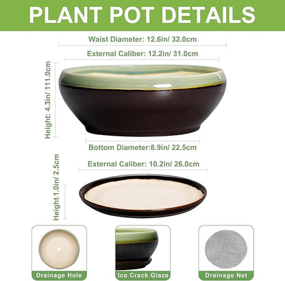 SQOWL Bonsai Pots 12 Inch - Large Ceramic Pots for Succulents with Drainage Hole and Saucer, Shallow Planter for Indoor Plants Outdoor, Round Planter Bowl, Office Decor, Gifts for Women, Green-Brown