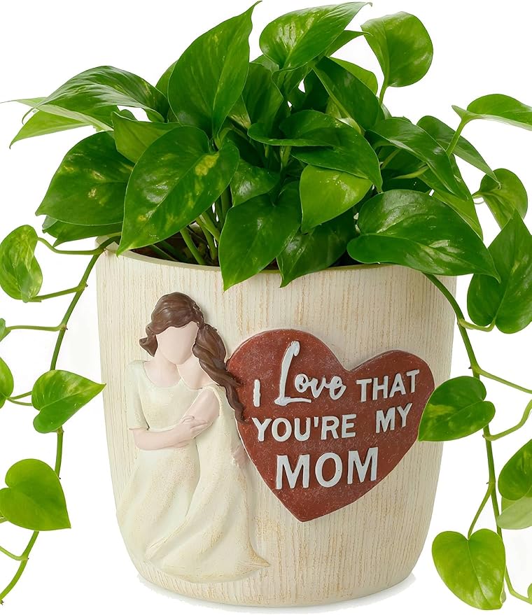 Gardening Gifts for Mom from Daughter: 5.3in Hand-Painted 3D Art Planter - Garden Gifts for Gardening Mom - Meaningful Plant Pot Gifts for Birthday Christmas Mother's Day