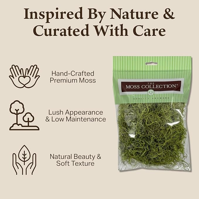 Preserved Spanish Moss - Decorative Dried Moss for Crafts, Home Decor, Art, Design & DIY Projects - for Indoor Use - Chartreuse - Medium Size