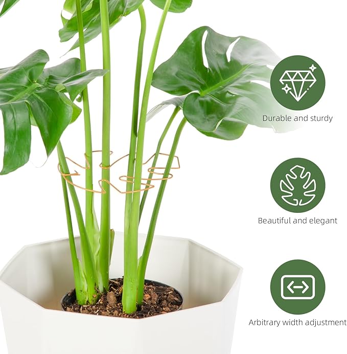 Plant Support Clips - 5-Pack of 7.52x6.65 Inch Indoor plant stabilizer for Vines,Monstera, Pothos & Philodendron | plant stem support,Durable Trellis Accessories for Gardening