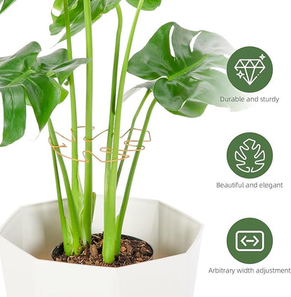 Plant Support Clips - 5-Pack of 7.52x6.65 Inch Indoor plant stabilizer for Vines,Monstera, Pothos & Philodendron | plant stem support,Durable Trellis Accessories for Gardening