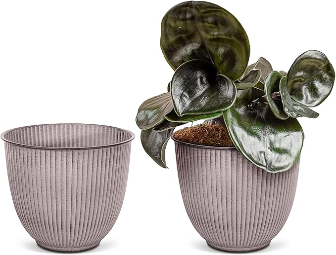 Headwind Robert Allen Natural Ironstone Decorative Planter, Archer Collection, Latte, 10-inch