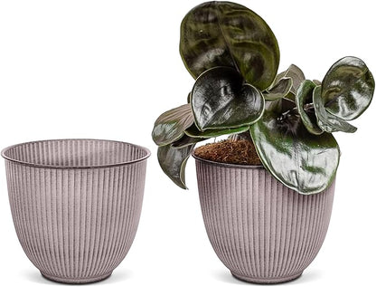 Headwind Robert Allen Natural Ironstone Decorative Planter, Archer Collection, Latte, 14-inch