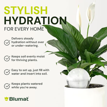 Blumat Clear Globe Single Pack - Automatic Watering Stake with a Beautiful Look for Indoor and Outdoor Plants