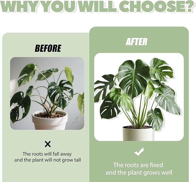 Monstera Plant Support, Plant Stakes for Indoor Plants, 16 Pack Reusable Plant Stabilizer, 4 Size Climbing Houseplant Stem Supports for Potted Vines, Monstera, Flowers