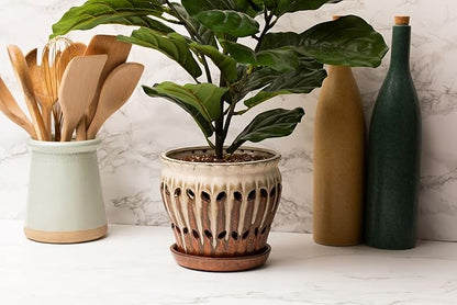 rePotme All Purpose Potting Soil for Indoor and Outdoor Plants, Organic and Made in The USA, Houseplant and Tropical Classic Potting Mix (Mini Bag)