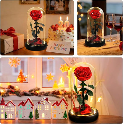 Valentines Day Gifts for Her, Beauty and The Beast Rose,Preserved Real Rose in Glass Dome,Forever Flowers with Warm Lights,Valentines Rose Gifts for Women Wife Mom Girlfriend,Birthday Gifts for Women
