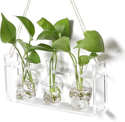 Clear Plant Propagation Station Plants Terrarium Planter Vase Birthday Gifts for Women Girl in Acrylic Stand Home Office Garden Decor