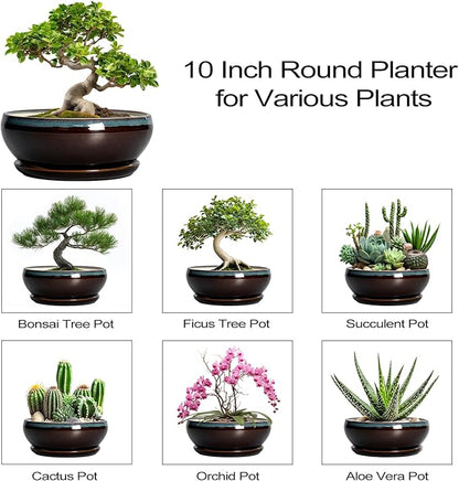 SQOWL Bonsai Tree Pots - 10 Inch Ceramic Succulent Pots with Drainage Hole and Saucer, Round Shallow Plant Pot Indoor Outdoor, Ceramic Bonsai Pot, Bowl Planter, Home Decor, Garden Gifts, Blue-Brown