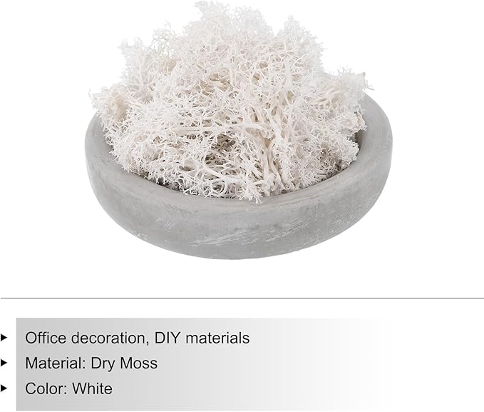 MECCANIXITY 3.5 OZ Moss Fake Craft Moss Artificial Moss Natural Preserved Moss for Craft Arts Floral DIY Project Wall Wedding Garden Patio Table Terrariums Decoration(White)