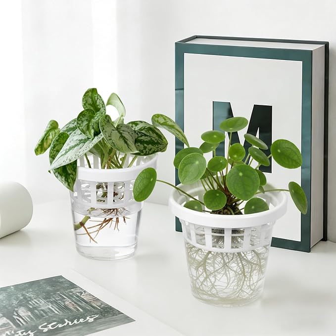 4 Set Window Propagation Stations Plastic Wall Hanging Planter with Suction Cups Clear Self Watering Window Mounted Plant Pots for Indoor Plants Bathroom Living Room Office Decor Gift