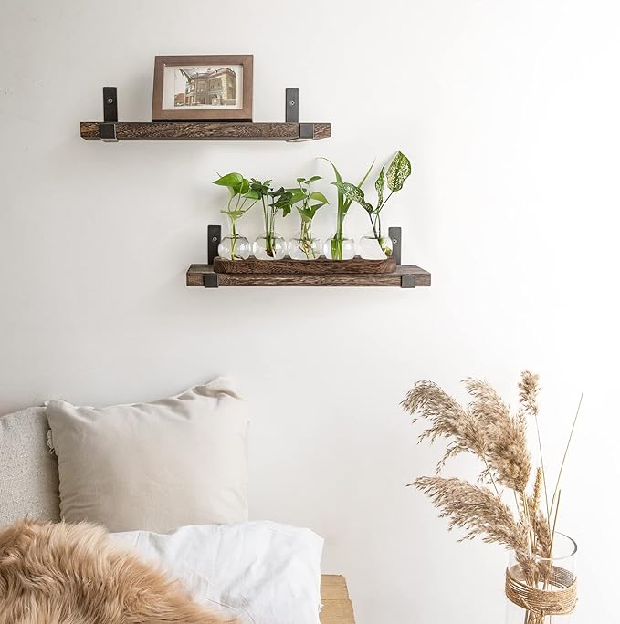 Mkono Desktop Plant Propagation Glass Station Retro Terrarium with Wooden Tray Bulb Vase for Hydroponic Home Indoor Decor Brown, Plant Lover Gift