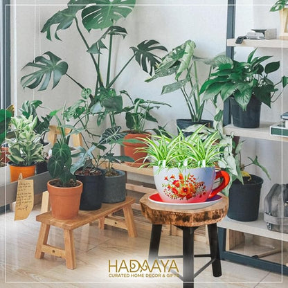 7.5" Round Ceramic Teacup Shape Planter Pot with Saucer for Succulents Orchids Herbs Cactus Indoor Houseplants Flowers for Home Garden and Event Decor – Orange Poppy Floral