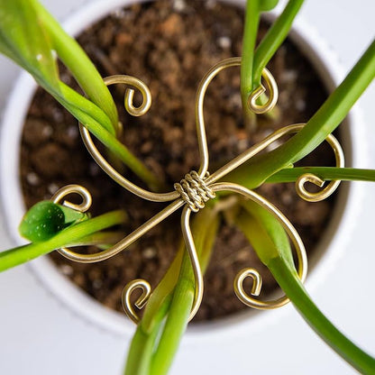 5Pcs Monstera Plant Stem Support Hook (2.75x2.75 inches) - Durable Metal Stem Support for Monstera & Fishbone Cactus, Easy Installation, Ideal Gift for Plant Lovers & Home Decor