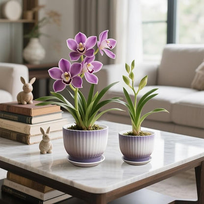 6.7 + 5.5 Inch Ceramic Plant Pots,Planters with Drainage and Saucer,Indoor Pots for Plants,Decorative Orchid Pots Set of 2（Purple + White）