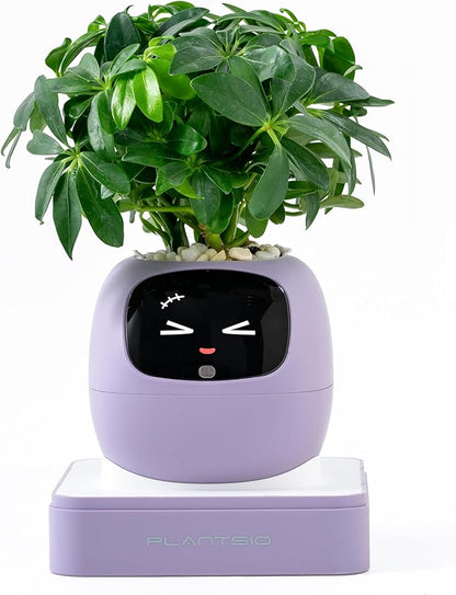 Ivy AI Smart Plant Pot with Emoji Intelligent Planter Robot for Houseplants Tamagotchi Flower Pot Stylish Plantagotchi Home Decor(Violet)