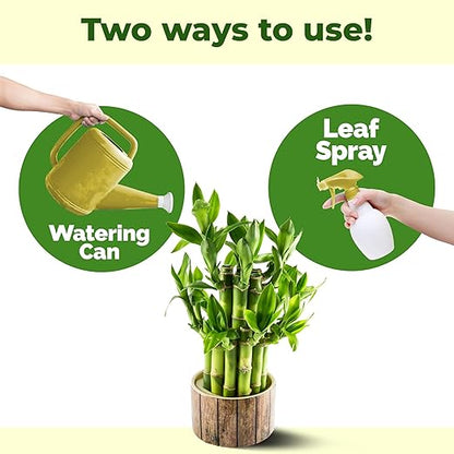 Lucky Bamboo Fertilizer, Complete Liquid Lucky Bamboo Plant Food, 32 oz (1 Quart)