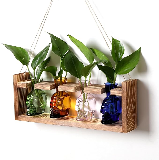 Plant Propagation Stations Halloween Skull Plant Terrarium Kit Glass Vases Gift for Father Air Planter Home Office Decor