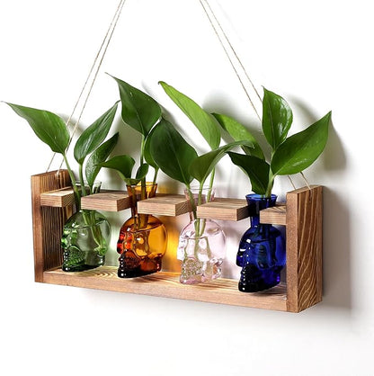 Plant Propagation Stations Halloween Skull Plant Terrarium Kit Glass Vases Gift for Father Air Planter Home Office Decor