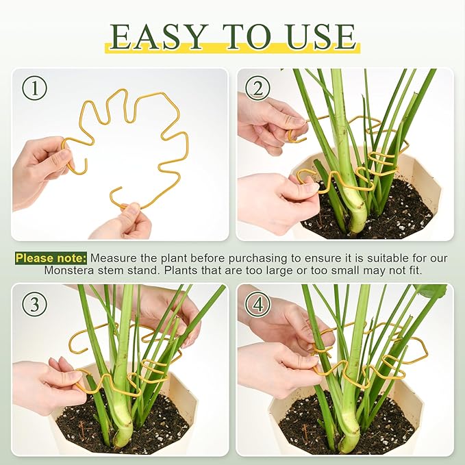 3PCS Monstera Plant Support, Metal Plant Supports Plant Stem Holder Plant Support Ring Stabilizer Durable for Climbing Plants Indoor Outdoor Moss Pole (Gold)