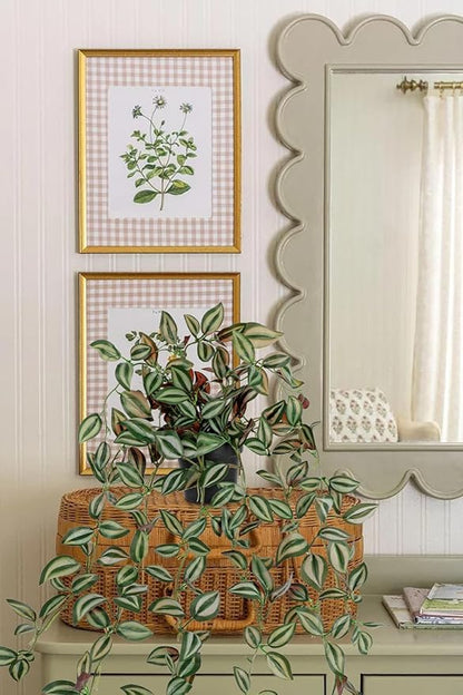 2 Pack Fake Hanging Plants for Shelf in Back Pot, Small Artificial Hanging Ivy Vine Plants Indoor Fake Potted Greenery Plant for Home Room Wall Tabletop Mantel Decor, Mimi Faux Peperomia Plant Set