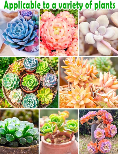 TOYPOPOR Succulent Soil, Cactus Potting Mix 12.5 Pounds/10QTS, High Drainage, Pre-Mixed Ready to Use for All Succulent Varieties, Indoor Plants, Bonsai, Terrarium, Houseplant, 30% Particles 70% Soil