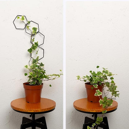 17PCSMetal Hanging Trellis for Pothos Plant Climbing Support | Vine Wall Lattice for Indoor and Outdoor Garden | House Accessories for Climbing Plants | Small Metal Trellis for Lattice Support