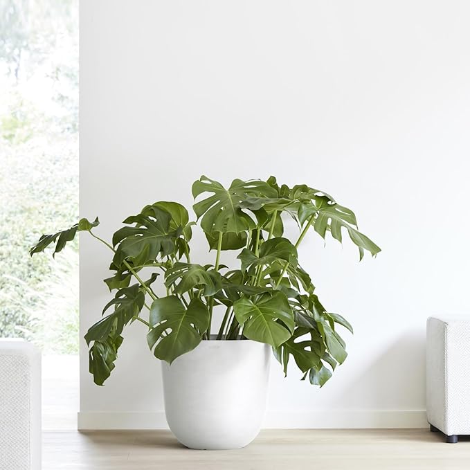 Ecopots Oslo Durable Modern Round Indoor/Outdoor Recycled-Based Composite Flower Pot Planter, Pure White, 17.75"