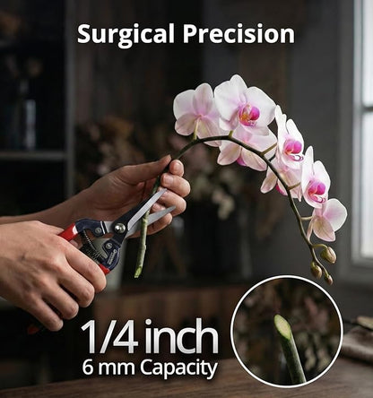 Gardeness SK5 Floral Scissors, Ultra Sharp Straight Pruning Shears – Garden Snips & Flower Clippers for Stems, Leaves, Bonsai and Fruit Picking, Lightweight Effort‑Saving Gardening Scissors (1 Pack)