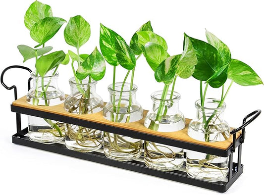 THYGIFTREE Plant Propagation Stations with Metal Stand, Tabletop Plant Terrarium for Propagating Hydroponic, Retro Glass Planter Flower Vase Home Kitchen Office Decor Gifts, 5 Jars