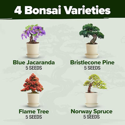 Bonsai Tree Kit Gifts for Men & Women - Grow 4 Bonsai Trees - Unique Gardening Crafts for Adults, DIY Hobbies for Plant Lovers & Gardeners - Unusual Christmas Gift Ideas for Mom & Dad