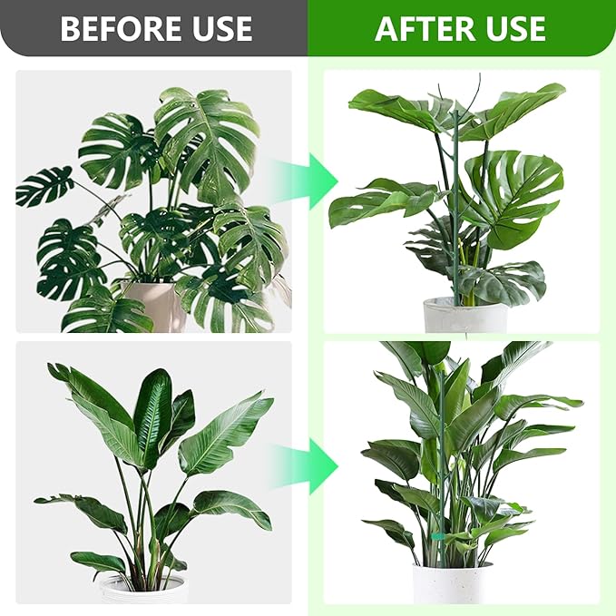 5 Pack Stackable Monstera Plant Support, Garden Plant Support Stakes for Indoor Outdoor Plants, Climbing Plant Support Structures Plant Holder Stick Moss Pole for Support Tall Potted Plants (5 Pack)