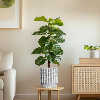 Ceramic Pots for Plants - 7.6 Inch Ceramic Planter with Drainage Hole, Round Flower Pots for Indoor Plants, Fluted Planter Outdoor, Garden Decor, Birthday Gifts, Black and White