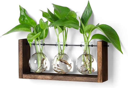 YIBOT Wall Hanging Planter Propagation Station Glass Flower Vase for Hydroponics Plants, Plant Terrarium with Wooden Stand, Bathroom, Home Office Living Room Decor Gift
