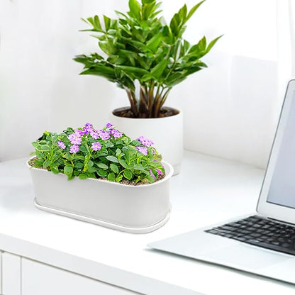 20 Set Window Herb Planter Box Rectangular,8.5x3.5 Inch White Plastic Planters with Multiple Drainage Holes and Trays,Indoor Succulent Cactus Mint Flower Pot for Windowsill,Garden Balcony