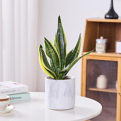 Ekirlin 6 Inch Resin Plant Pot Indoor - Natural Marble Texture Garden Planter with Drainage Hole, Removable Rubber Stopper and Non-Slip Soft Pad, Modern Succulents Containers for Home, Outdoor
