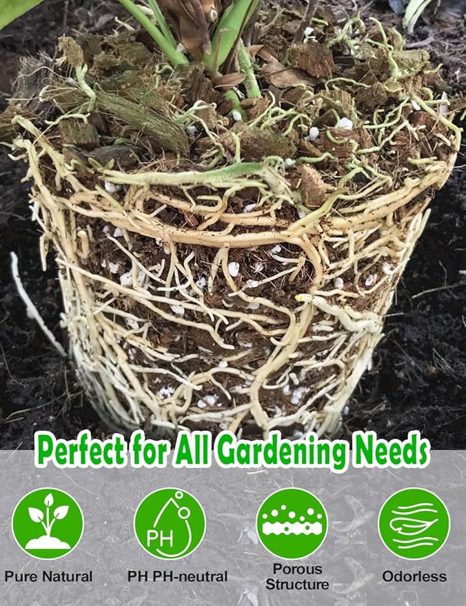 TOYPOPOR Perlite for Plants, (3qt) 3-6mm Organic Perlite for Gardening, Perlite for Plants Indoor, Soil Additive Conditioner Mix Improve Drainage and Ventilation Promote Root Growth and Soil Health