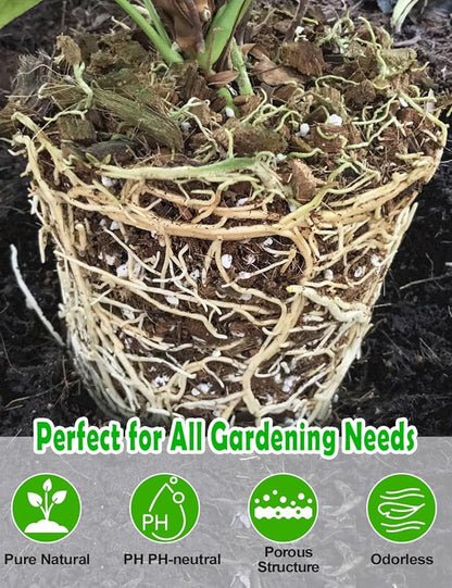 TOYPOPOR Perlite for Plants, (3qt) 3-6mm Organic Perlite for Gardening, Perlite for Plants Indoor, Soil Additive Conditioner Mix Improve Drainage and Ventilation Promote Root Growth and Soil Health