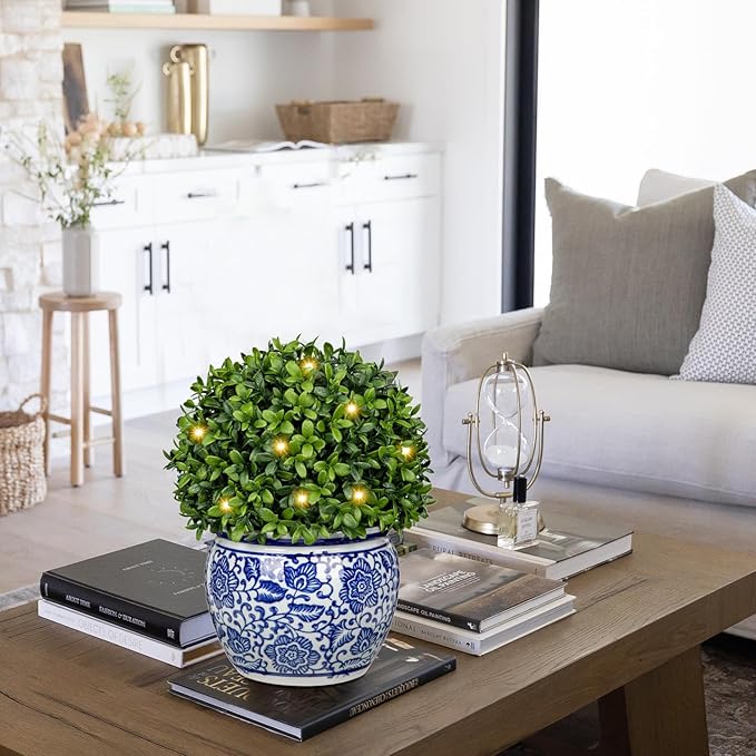 DILATATA Artificial Topiary Boxwood Ball in Blue and White Ceramic Pot, Lighted Artificial Boxwood in Planters 10 Inch Decorative Fake Greenery for Table Centerpiece Indoor Plant Home Decor - Medium