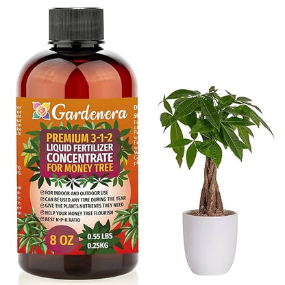 Premium Liquid Money Tree Plant Fertilizer - 3-1-2 Concentrate for Indoor Plants and Flowers by Gardenera | Organic Plant Food for Money Tree - 8oz