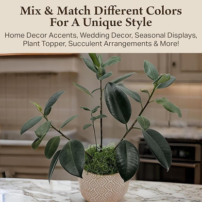 Preserved Spanish Moss - Premium Decorative Moss for Crafts, Home Décor, Art, Design & DIY Projects - Real Moss - Non-Toxic, USA-Made (Green Apple, Medium, 2-Pack)