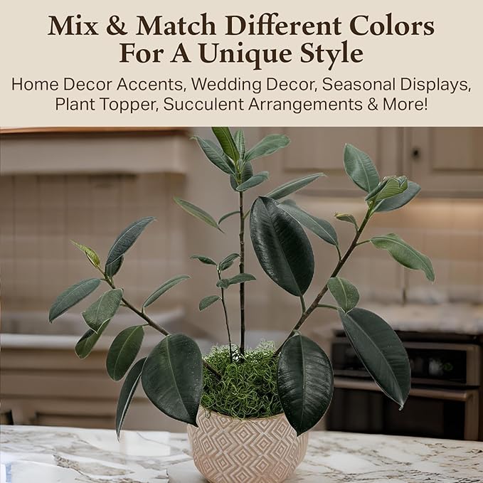 Preserved Spanish Moss - Premium Decorative Moss for Crafts, Home Décor, Art, Design & DIY Projects - Real Moss - Non-Toxic, USA-Made (Green Apple, Small, 2-Pack)