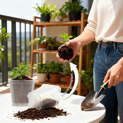 Clear Nursery Pots with Drainage Holes, 30 Pcs 2.7 Inch Square Plastic Pots for Plants, Clear Flower Pots Seed Starter Pot